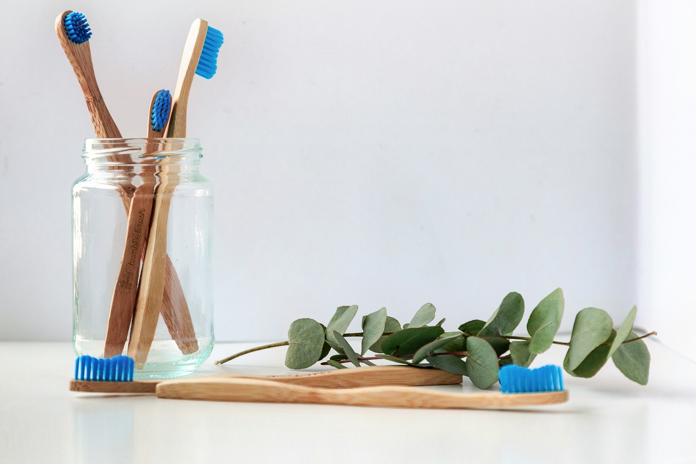 Toothbrushes in a glass for a daily oral hygiene routine